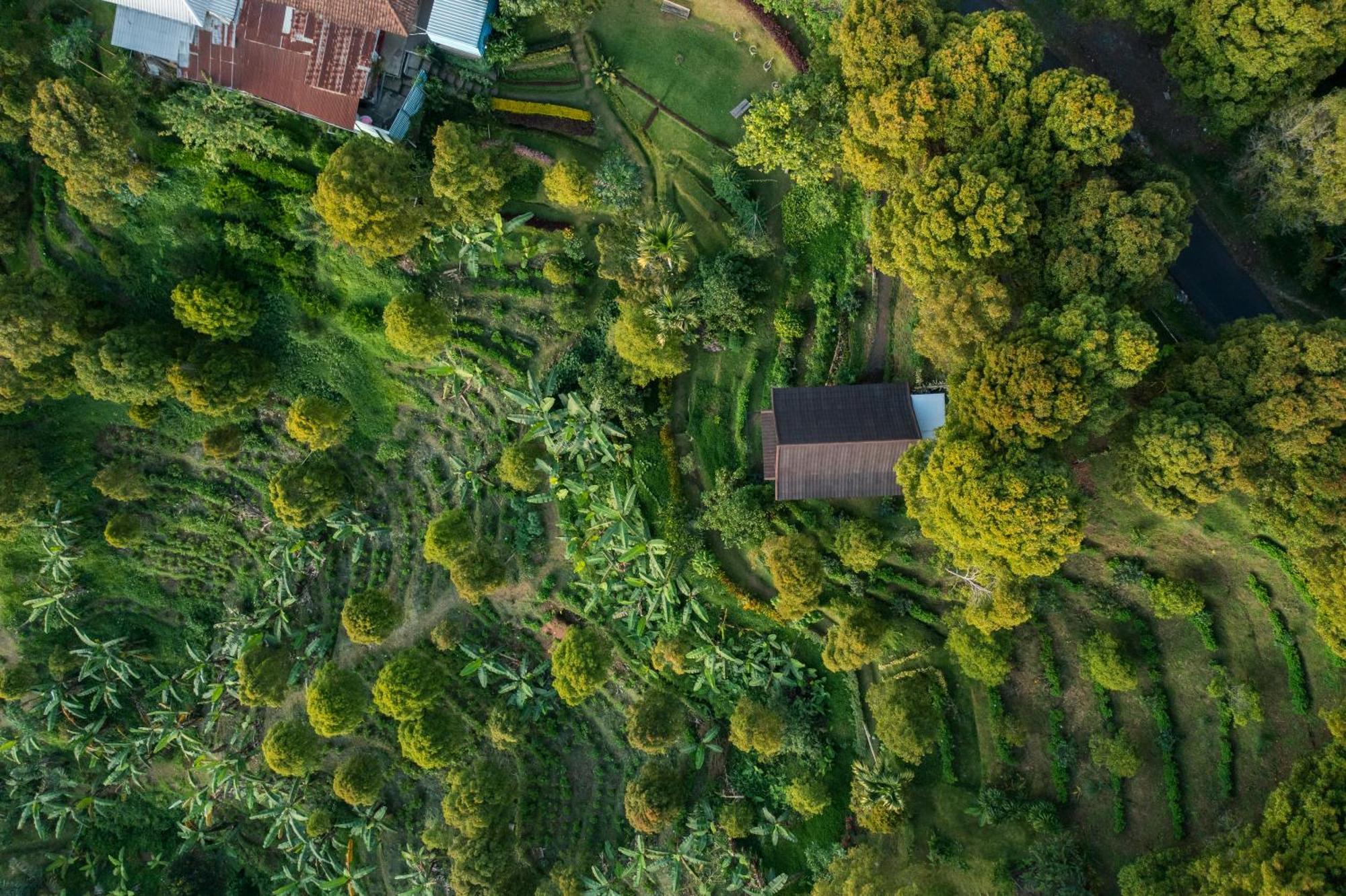 格布勒格Garden Terrace Bali住宿加早餐旅馆 外观 照片